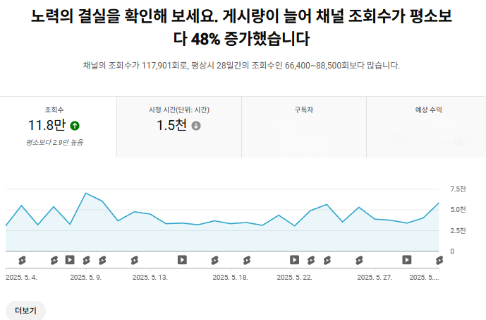 노력의 결실 - 조회수 48% 증가, 11.8만 조회수